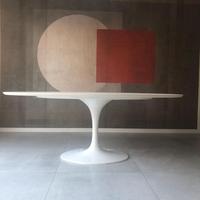 Tavolo Eero Saarinen 198x121 con 6 sedie Luxy.
