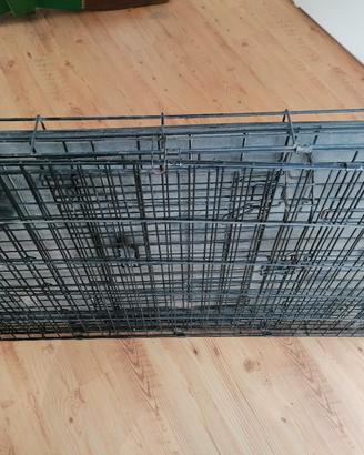 gabbia recinto per cani