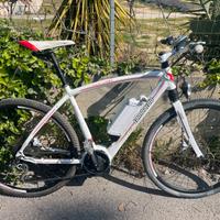 Ebike