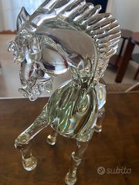 Splendido Cavallo in movimento