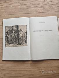 Luigi Bartolini - "L'eremo dei Frati Bianchi"