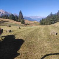 fieno in ballette 