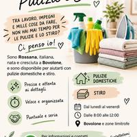 pulizie e stiro