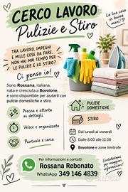 pulizie e stiro