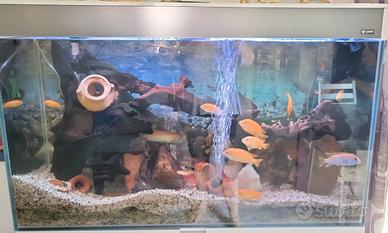 Acquario 200lt completo di tutto