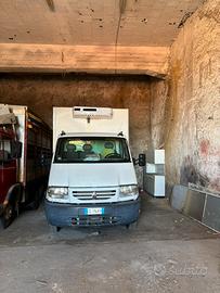 Furgone frigorifero trasporto carni