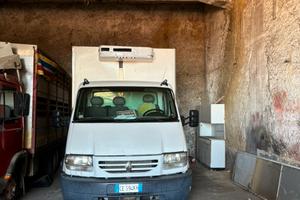 Furgone frigorifero trasporto carni