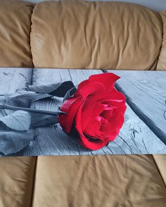 Stampe da parete con rosa rossa 