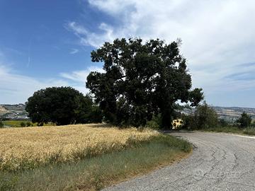 Casa singola - Fermo