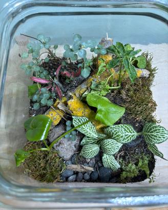 Terrario