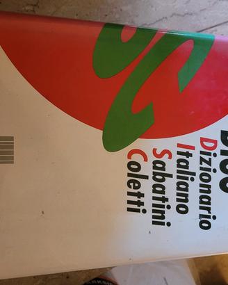 dizionario lingua italiana 