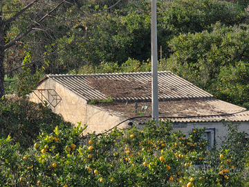 Proprietà agricola con abitazione e agrumeto