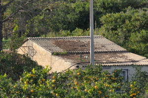 Proprietà agricola con abitazione e agrumeto