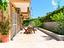 Immagine 14