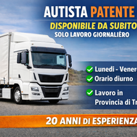Autista patente CE giornaliero