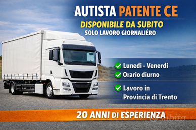 Autista patente CE giornaliero