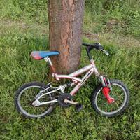 Bicicletta da bambino