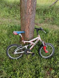 Bicicletta da bambino