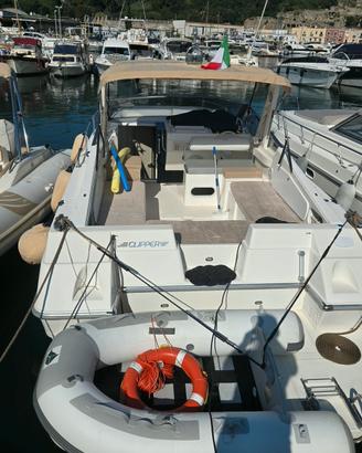 fiart 30