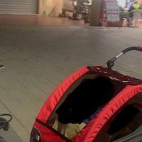 Rimorchio carrello bicicletta