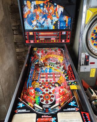 flipper rollergames 