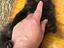 Immagine 6