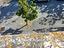 Immagine 12