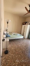 Libero stanza singola Bolognina