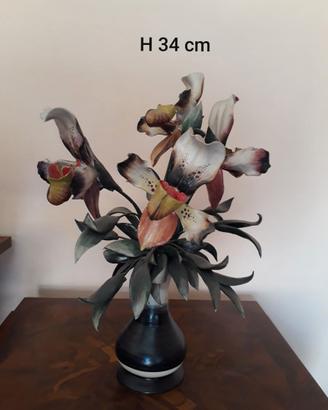 Orchidee Capodimonte