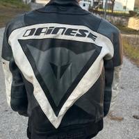 Giubbotto Moto Dainese