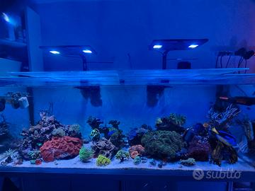 acquario marino 350 litri completo 