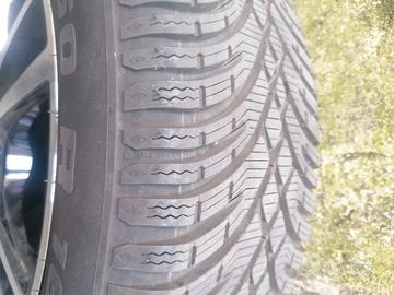 Gomme da neve