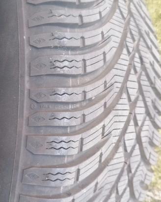 Gomme da neve