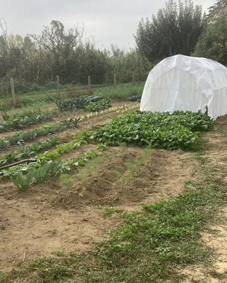 Terreno agricolo produttivo pianeggiante