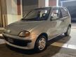 Fiat Seicento 900i cat Young
