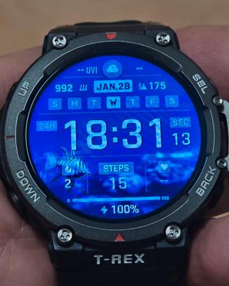 AMAZFIT T-Rex 2