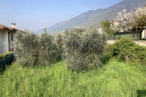 Terreno di 3278 m² a Pieve del Grappa