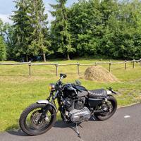 Harley-Davidson Sportster 1200 - 2005