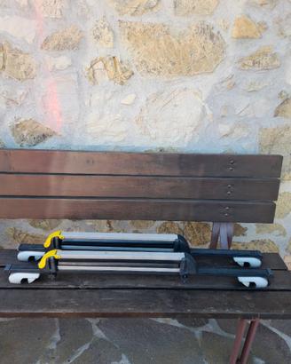 Porta sci e porta tutto