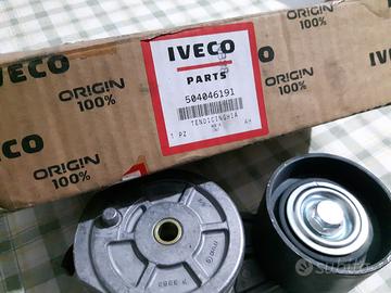 Tendicinghia iveco 504046191