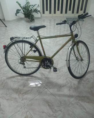 Bicicletta uomo 