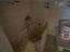 Immagine 12