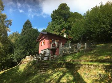 Baita con terreno boschivo