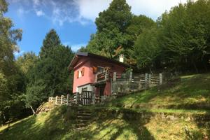 Baita con terreno boschivo