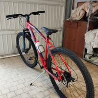 Mountain Bike 28