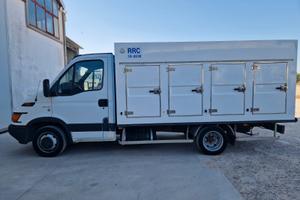 Iveco Daily 35C13 trasporto surgelati RRC 06/2030