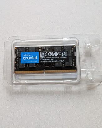 Crucial RAM 16GB DDR5 5600MHz