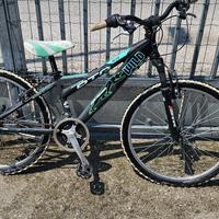 Mtb daytona wild 24"