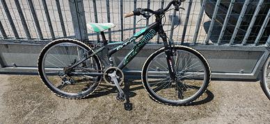 Mtb daytona wild 24"