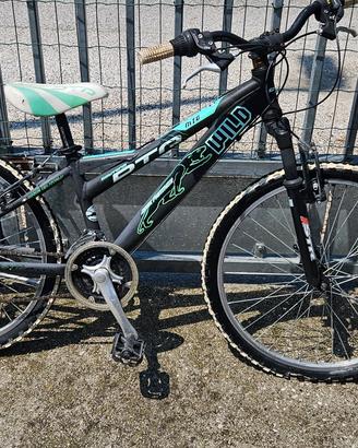 Mtb daytona wild 24"